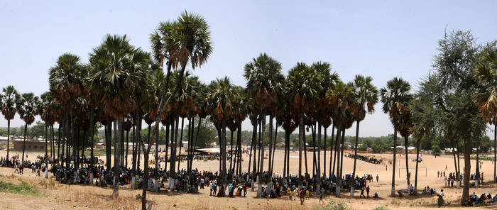 Festival Massa